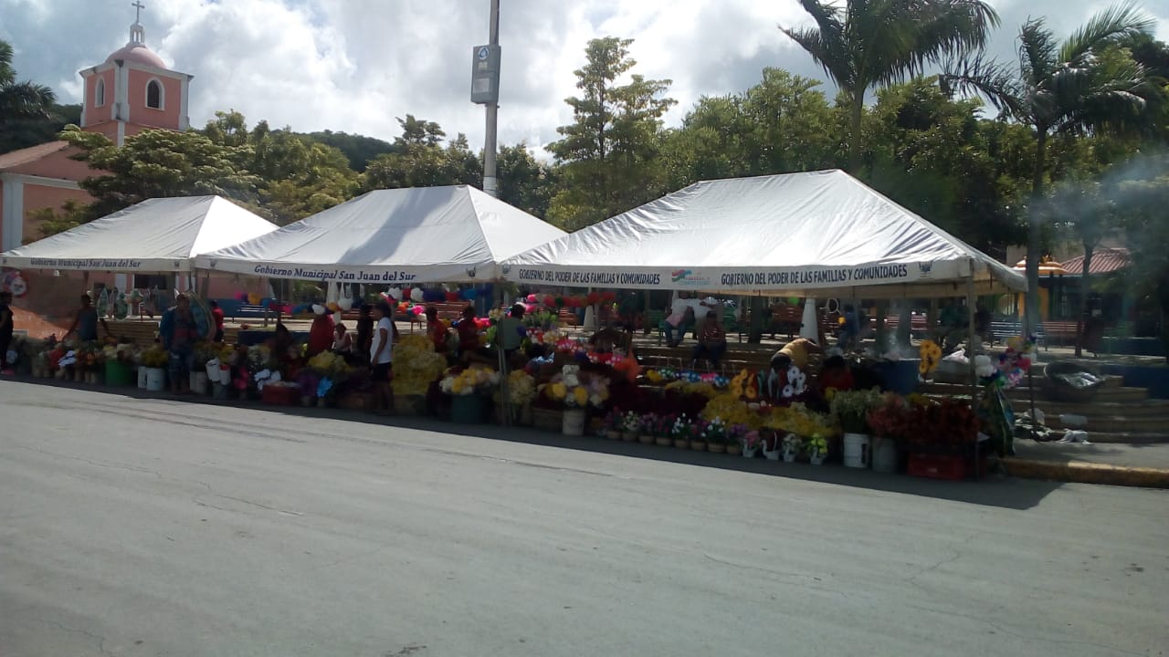 flores
